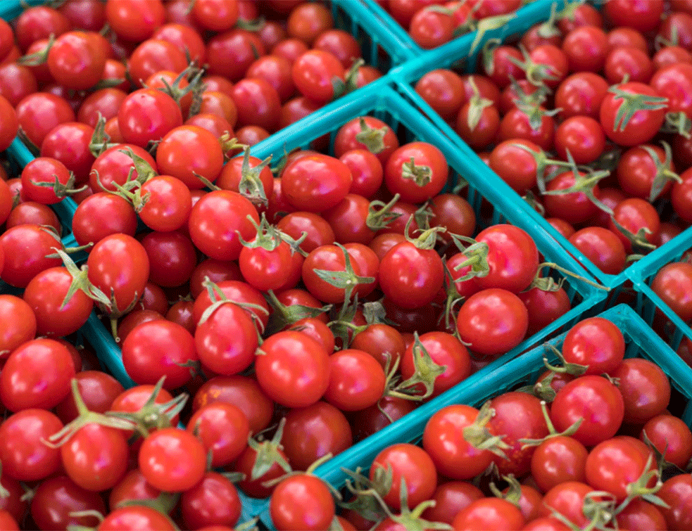 Zašto <span style='color:red;'><b>cena paradajza</b></span> ne prati rast cena ostale hrane?